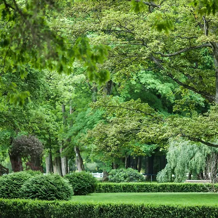 Hotel Palac & Wellness 5*