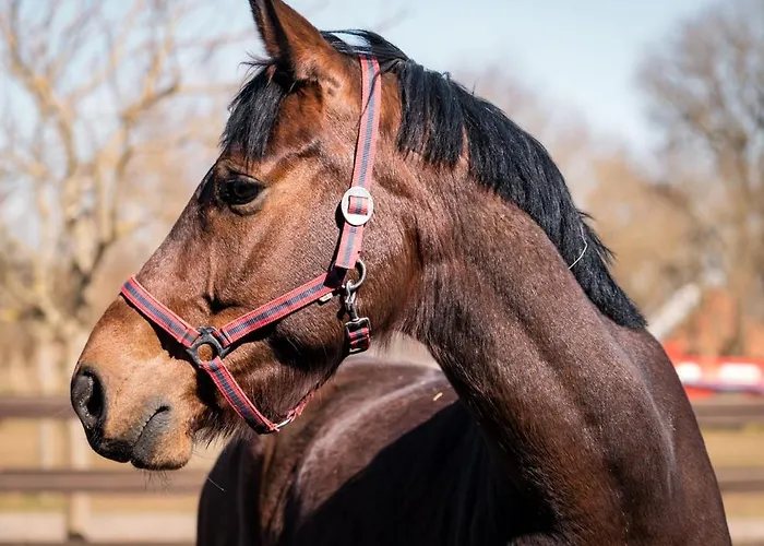 Pałac Resort&wellness Hotel Ciekocinko