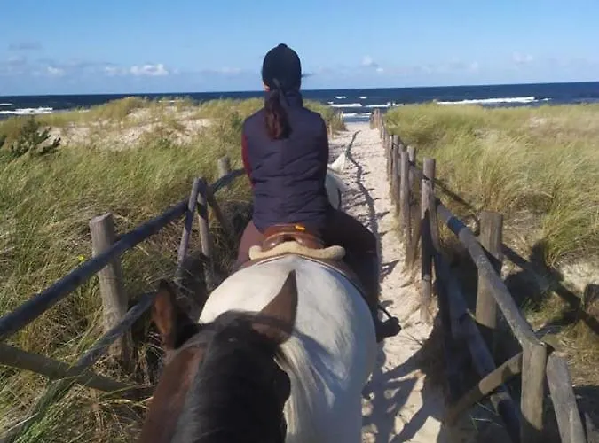 Pałac Resort&wellness