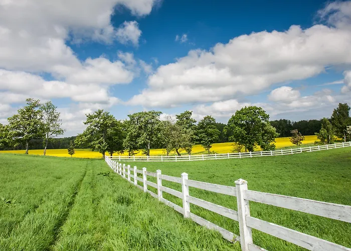 Palac & Wellness فندق