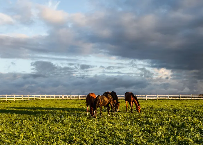 Pałac Resort&wellness Hotel Ciekocinko