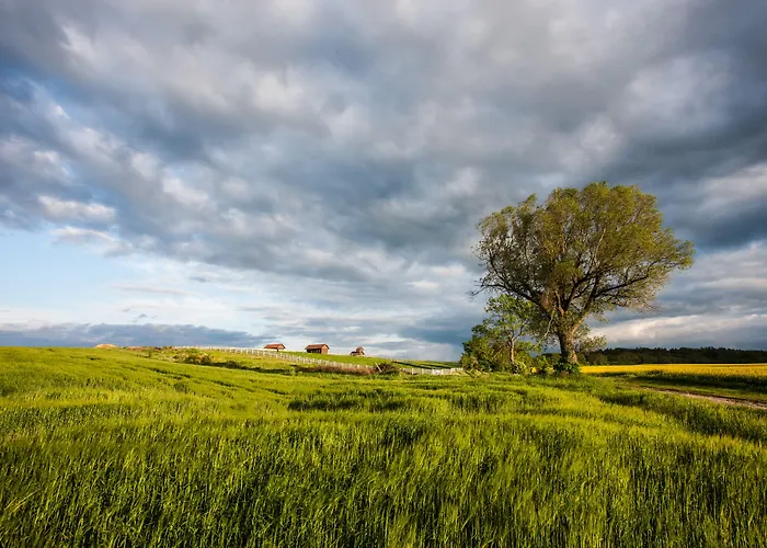 Pałac Resort&wellness 5*