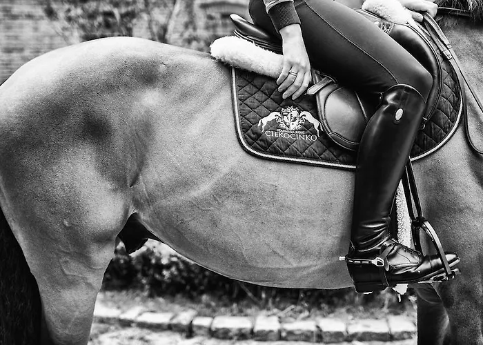 Palac & Wellness فندق