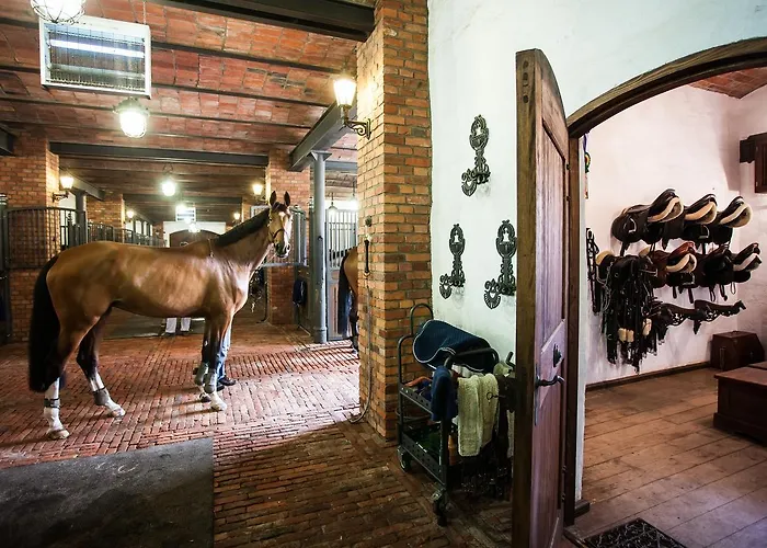 Hotel Pałac Resort&wellness 5*